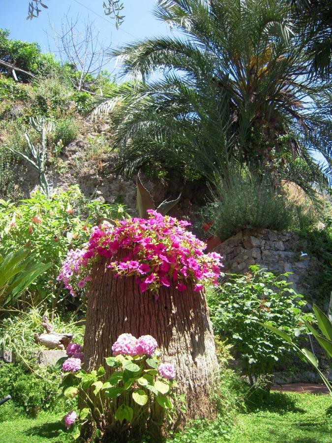 Suite I Limoni Ravello Extérieur photo