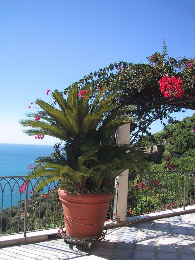 Suite I Limoni Ravello Extérieur photo